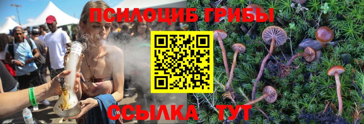 Галлюциногенные грибы Cubensis Людиново