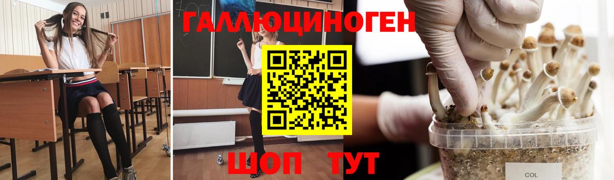 Псилоцибиновые грибы прущие грибы  как найти закладки  Людиново  Вход с VPN  Галлюциногенные грибы мухоморы 